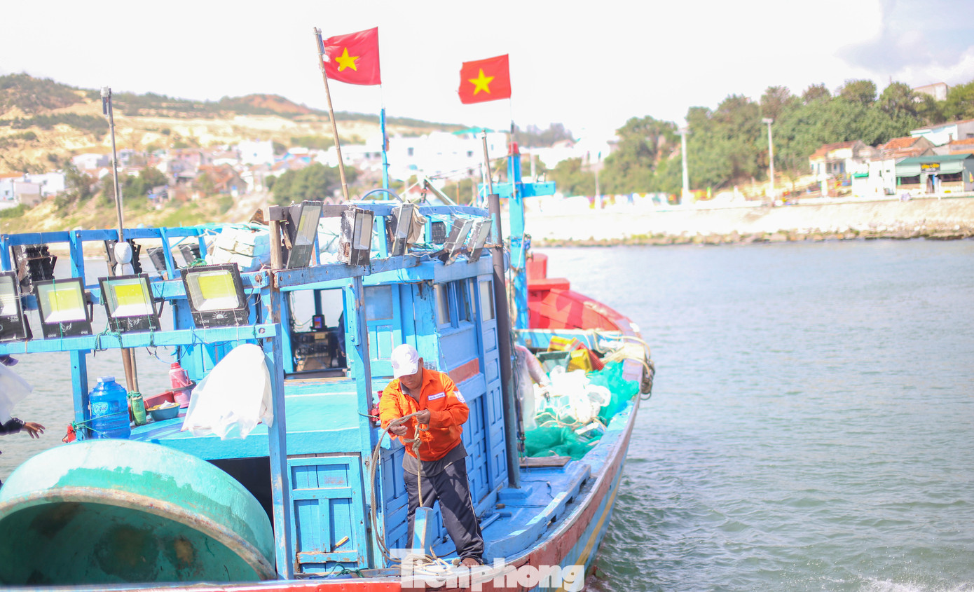 Những ngày đầu năm mới, tàu thuyền của ngư dân liên tục vươn khơi đánh bắt vùng biển gần bờ. Ảnh: Trương Định