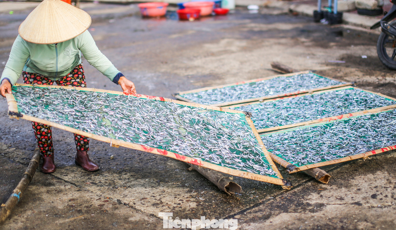 ... hoặc đem đi phơi khô để bán. Ảnh: Trương Định