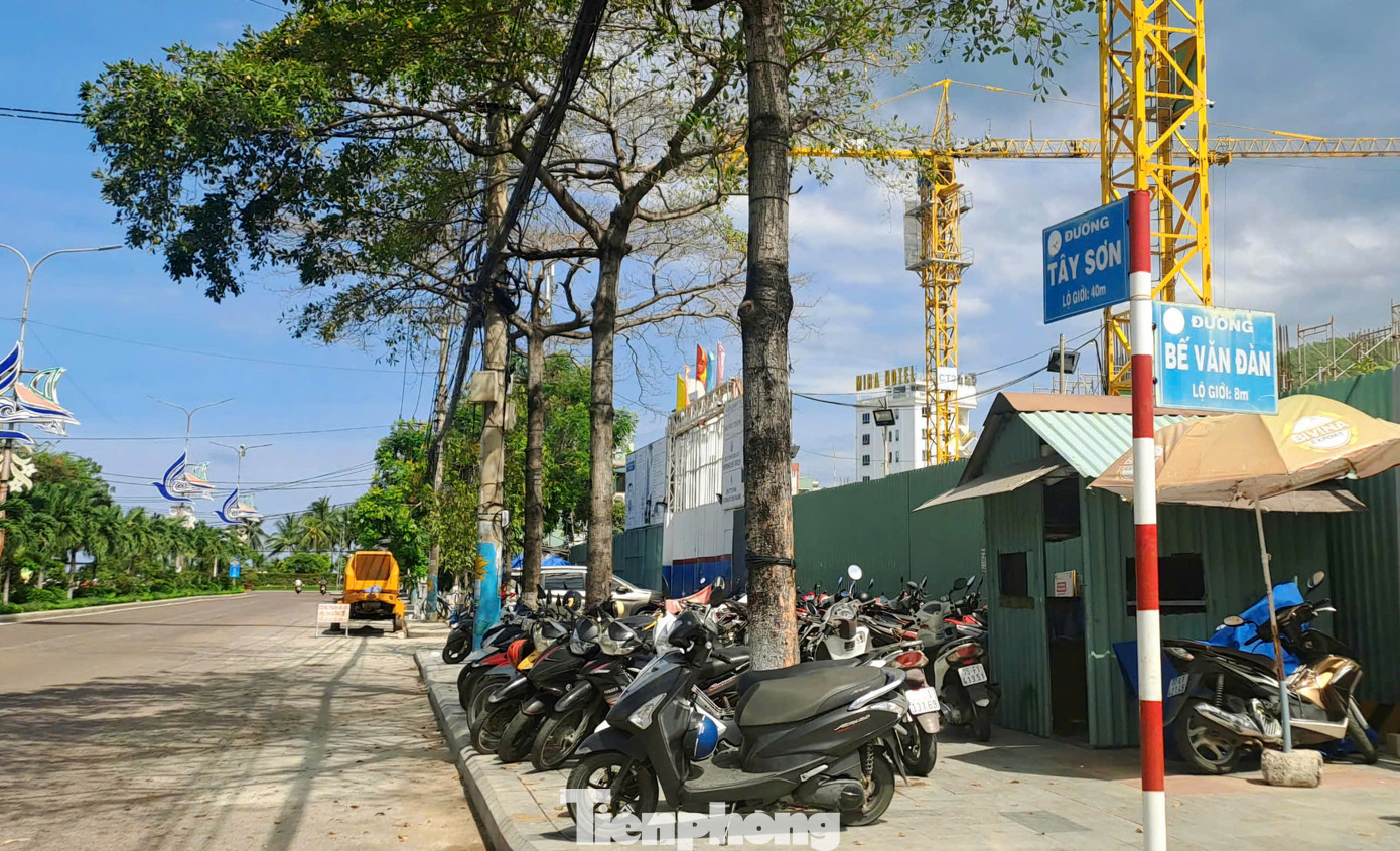 Đường Tây Sơn (phường Ghềnh Ráng, TP. Quy Nhơn) chạy ra biển. Ảnh: Trương Định Đường Tây Sơn (phường Ghềnh Ráng, TP. Quy Nhơn) chạy ra biển. Ảnh: Trương Định