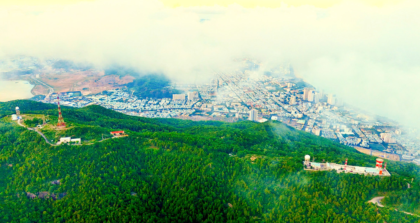 Núi Vũng Chua có diện tích hơn 3.000 ha, chủ yếu là rừng trồng, không có rừng tự nhiên. Tỉnh Bình Định dự kiến sẽ chỉ khai thác khoảng hơn 300 ha cho các mục tiêu phát triển, phần còn lại sẽ giữ nguyên hiện trạng để bảo vệ sinh thái và cảnh quan tự nhiên.