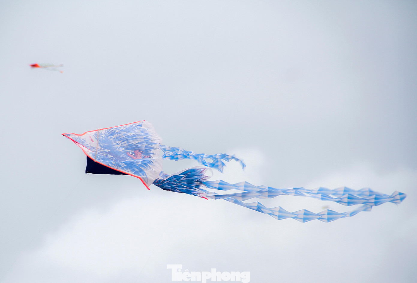 Những chiếc diều được tạo hình đẹp.