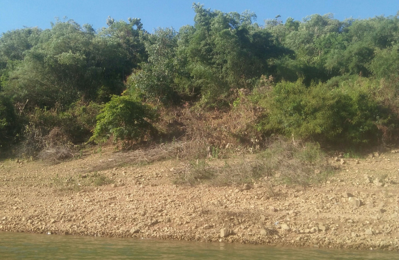 Khởi tố cựu Bí thư huyện Vĩnh Thạnh liên quan vụ thâu tóm đất rừng phòng hộ.