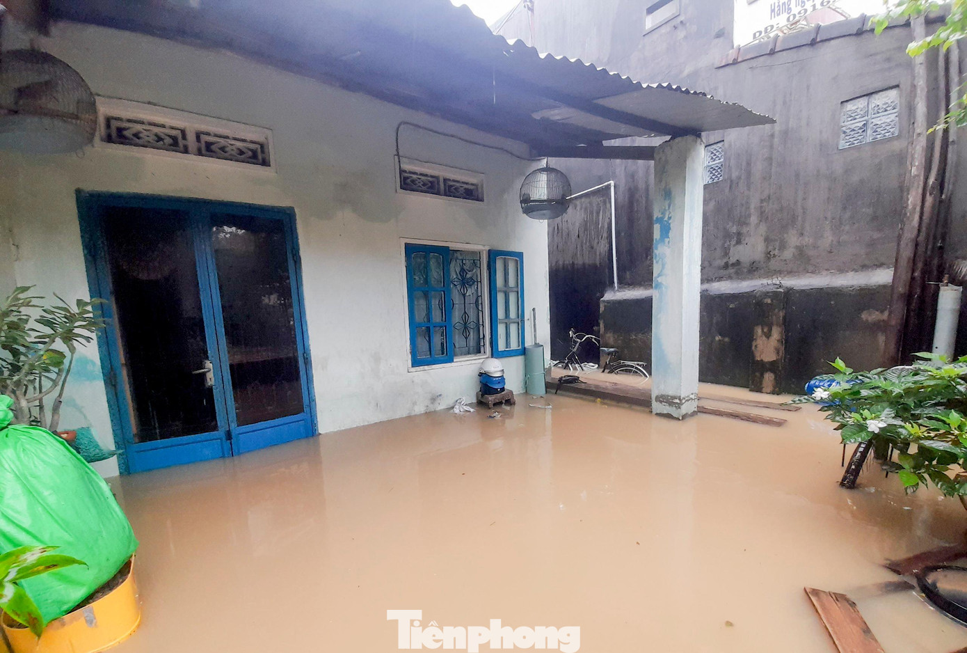 Nhà dân ở tổ 9, KV 5, phường Nhơn Phú ngập sâu trong nước lũ. Ảnh: Trương Định Nhà dân ở tổ 9, KV 5, phường Nhơn Phú ngập sâu trong nước lũ. Ảnh: Trương Định