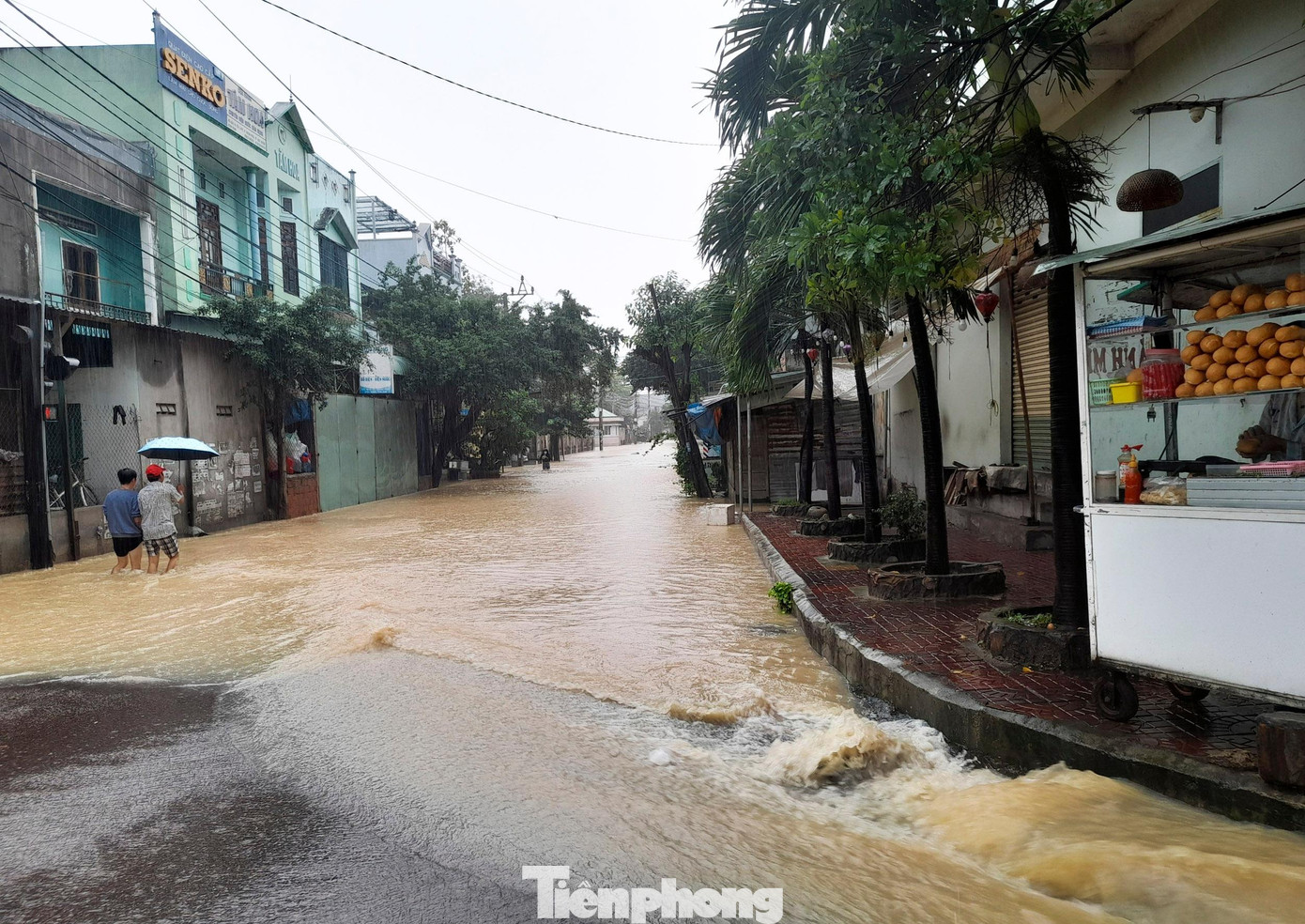 Nước lũ đổ về gây ngập một số khu dân cư ở TP Quy Nhơn. Ảnh: Trương Định Nước lũ đổ về gây ngập một số khu dân cư ở TP Quy Nhơn. Ảnh: Trương Định