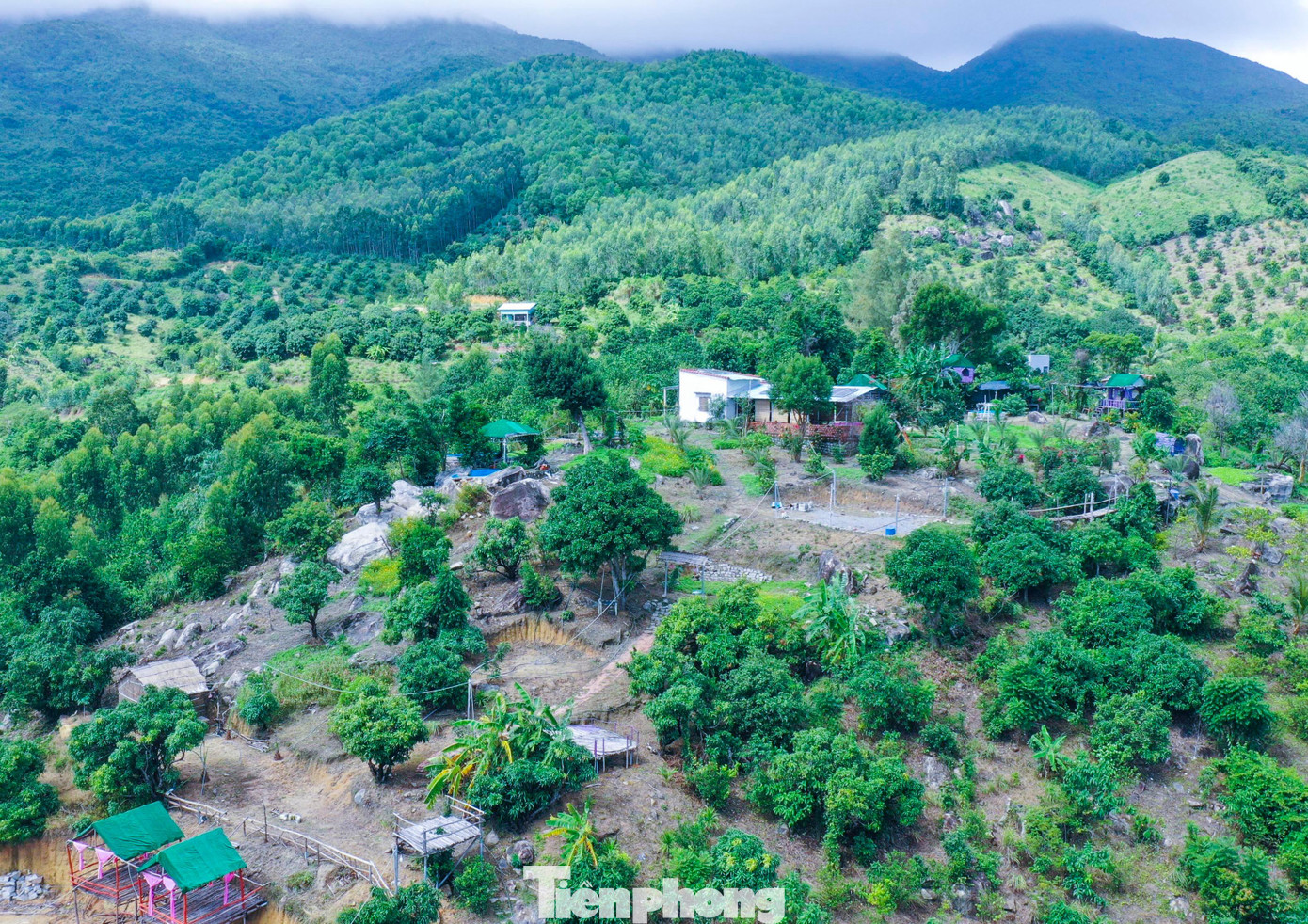 Mới đây, tại cuộc họp nghe báo cáo tình hình công tác kiểm tra, xử lý các trường hợp lấn chiếm đất đai, sử dụng đất không đúng mục đích, xây dựng công trình, vật kiến trúc trái phép trên địa bàn phường Ghềnh Ráng, Chủ tịch UBND TP Quy Nhơn Ngô Hoàng Nam đã phê bình Đảng ủy và UBND phường Ghềnh Ráng trong công tác quản lý đất đai, xây dựng trên địa bàn phường trong thời gian qua...