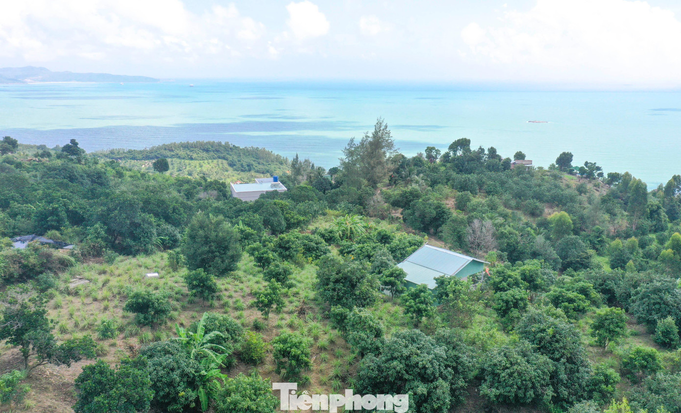 Đối với các trường hợp đã tổ chức cưỡng chế nhiều lần mà vẫn tiếp tục tái vi phạm thì hoàn tất hồ sơ thủ tục chuyển Công an thành phố để xác lập hồ sơ xử lý hình sự theo đúng quy định pháp luật. Ảnh: Trương Định