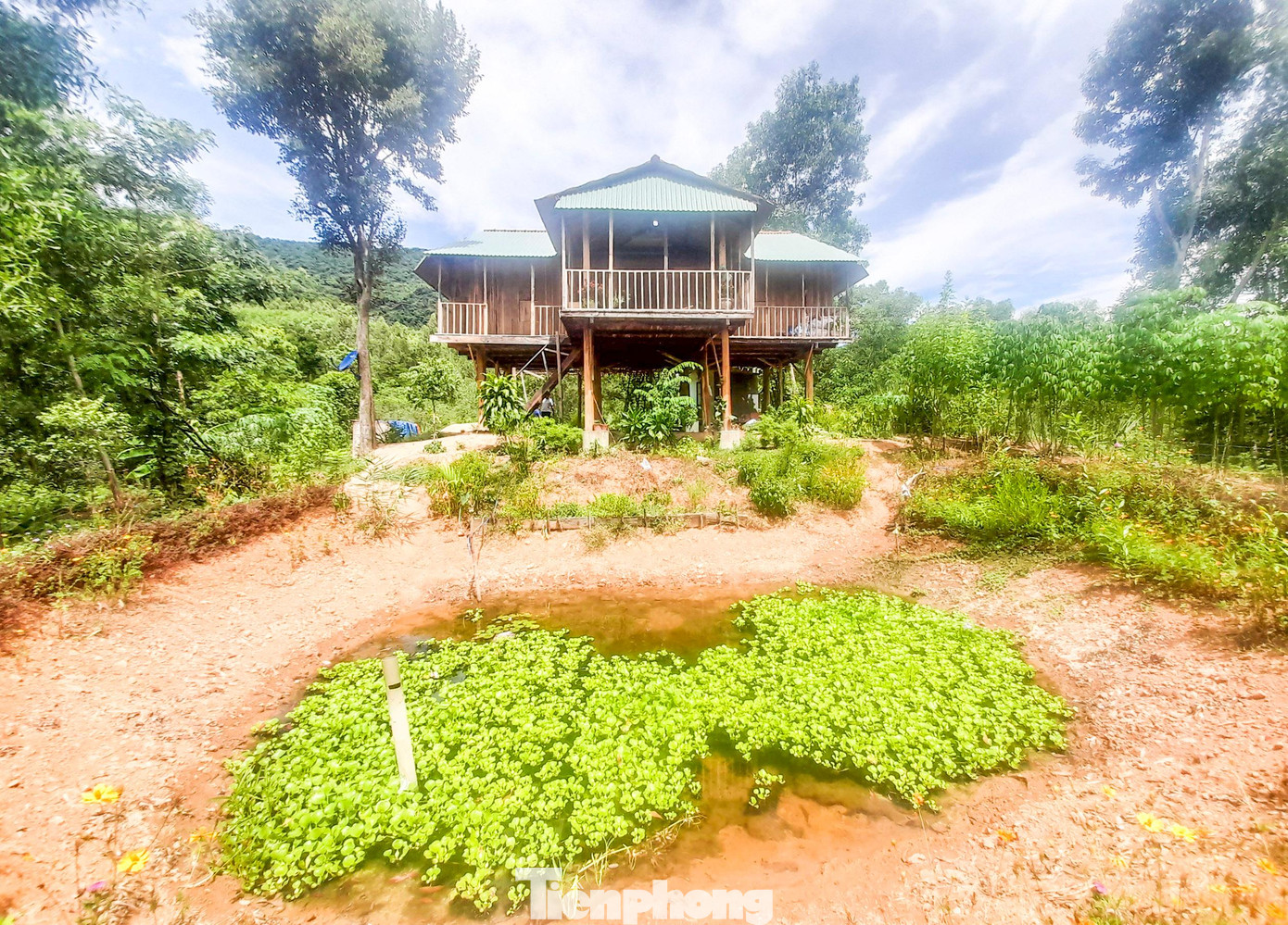 Căn nhà sàn xây dựng trái phép trên đất rừng phòng hộ. Ảnh: Trương Định