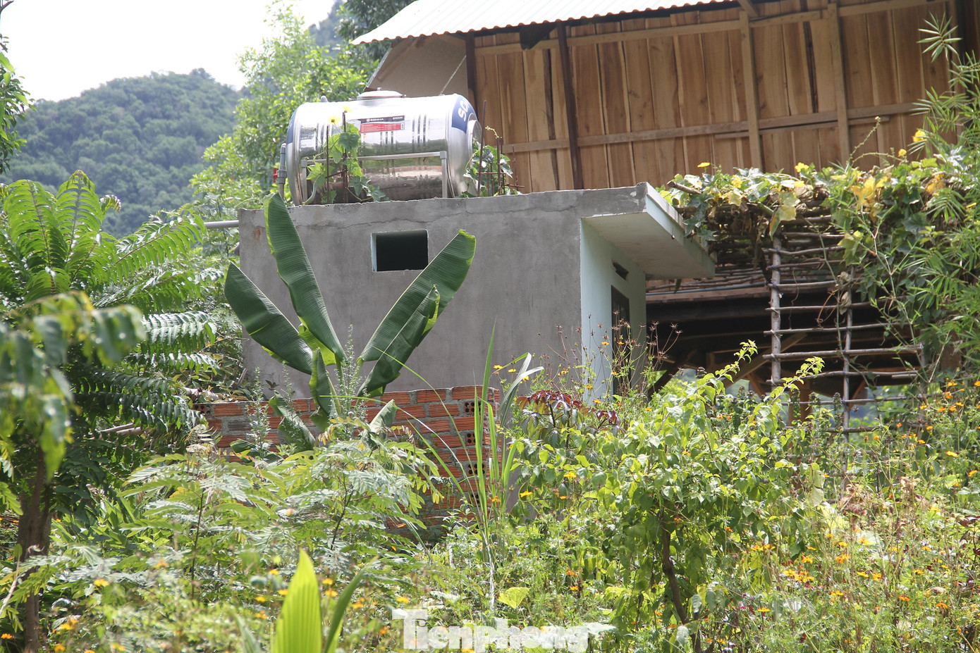 Nhà vệ sinh được xây dựng kiên cố. Ảnh: Trương Định Nhà vệ sinh được xây dựng kiên cố. Ảnh: Trương Định