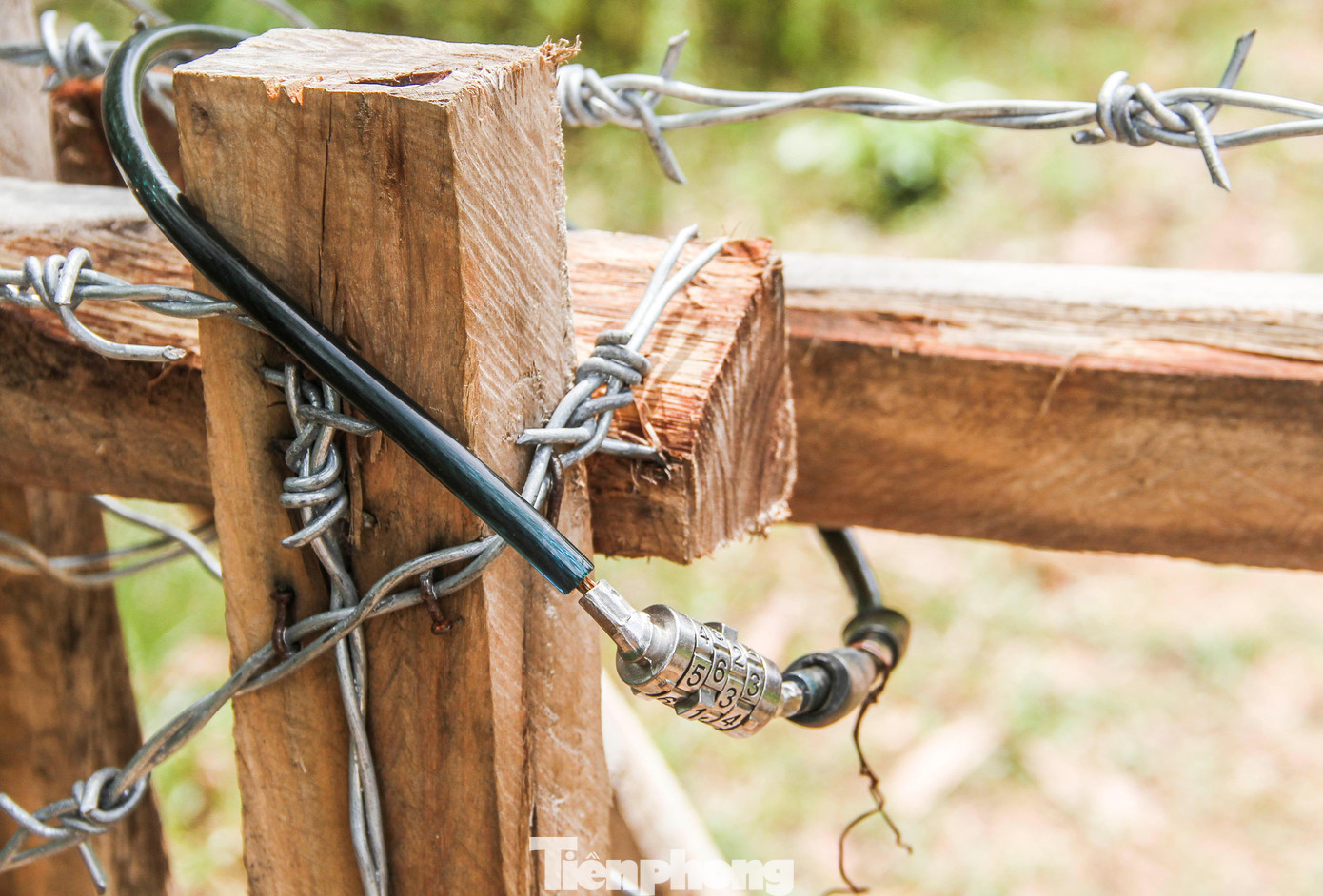 Cổng chính vào nhà sàn được khóa cẩn thận. Ảnh: Trương Định Cổng chính vào nhà sàn được khóa cẩn thận. Ảnh: Trương Định