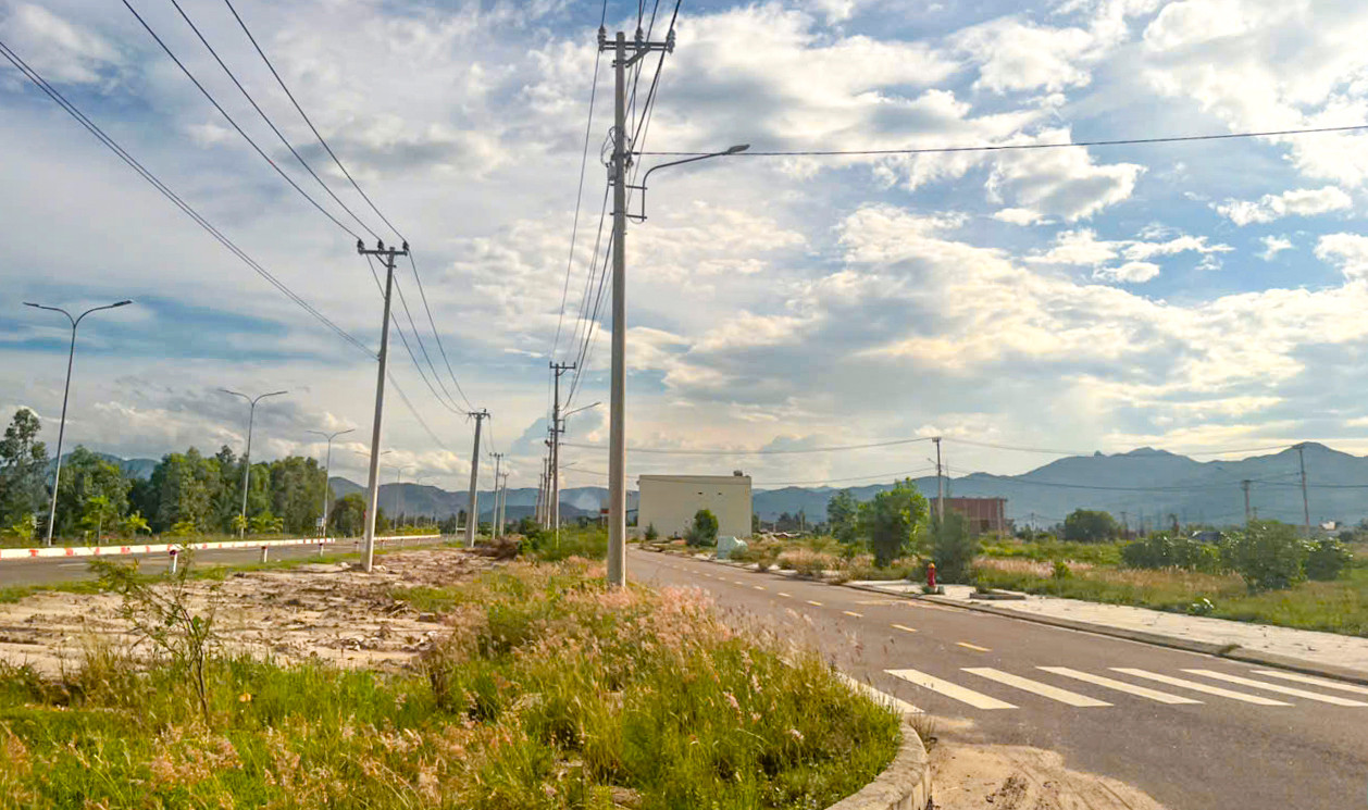 Cỏ mọc um tùm trong khu TĐC. Ảnh: T.Đ