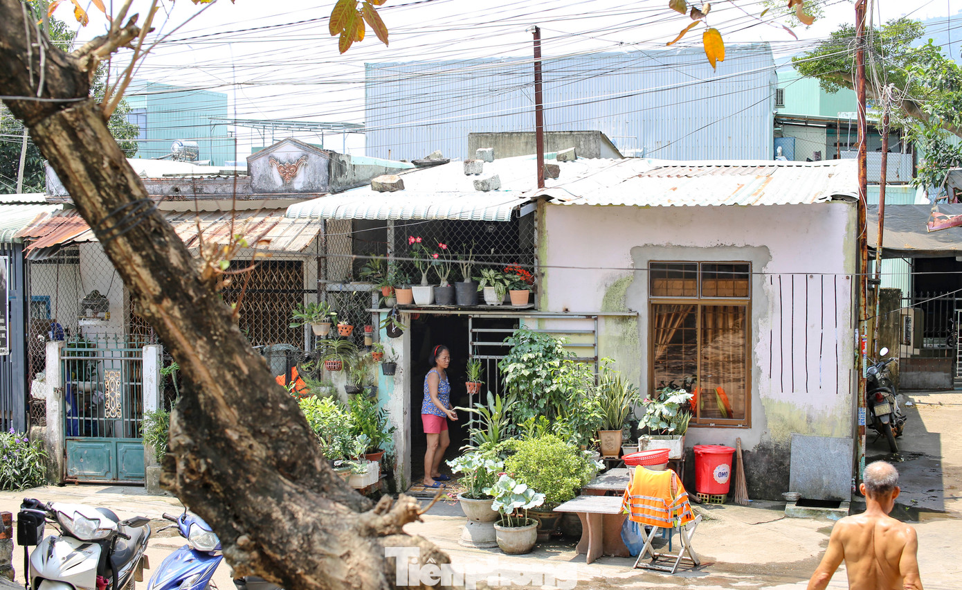 Căn nhà bà Võ Thị Thu Hà (63 tuổi, phường Quang Trung) trong diện phải di dời, dù trước đó cơ quan chức năng đã đến kiểm kê, áp giá nhưng đến nay vẫn chưa nhận được tiền đền bù. Theo bà Hà cho biết, bà sinh sống tại đây đã hơn 20 năm. Hiện giờ căn nhà sập xệ, xuống cấp nhưng không dám sửa sang. Cũng mong dự án sớm được triển khai để người dân được ổn định. Ảnh: Trương Định Căn nhà bà Võ Thị Thu Hà (63 tuổi, phường Quang Trung) trong diện phải di dời, dù trước đó cơ quan chức năng đã đến kiểm kê, áp giá nhưng đến nay vẫn chưa nhận được tiền đền bù. Theo bà Hà cho biết, bà sinh sống tại đây đã hơn 20 năm. Hiện giờ căn nhà sập xệ, xuống cấp nhưng không dám sửa sang. Cũng mong dự án sớm được triển khai để người dân được ổn định. Ảnh: Trương Định