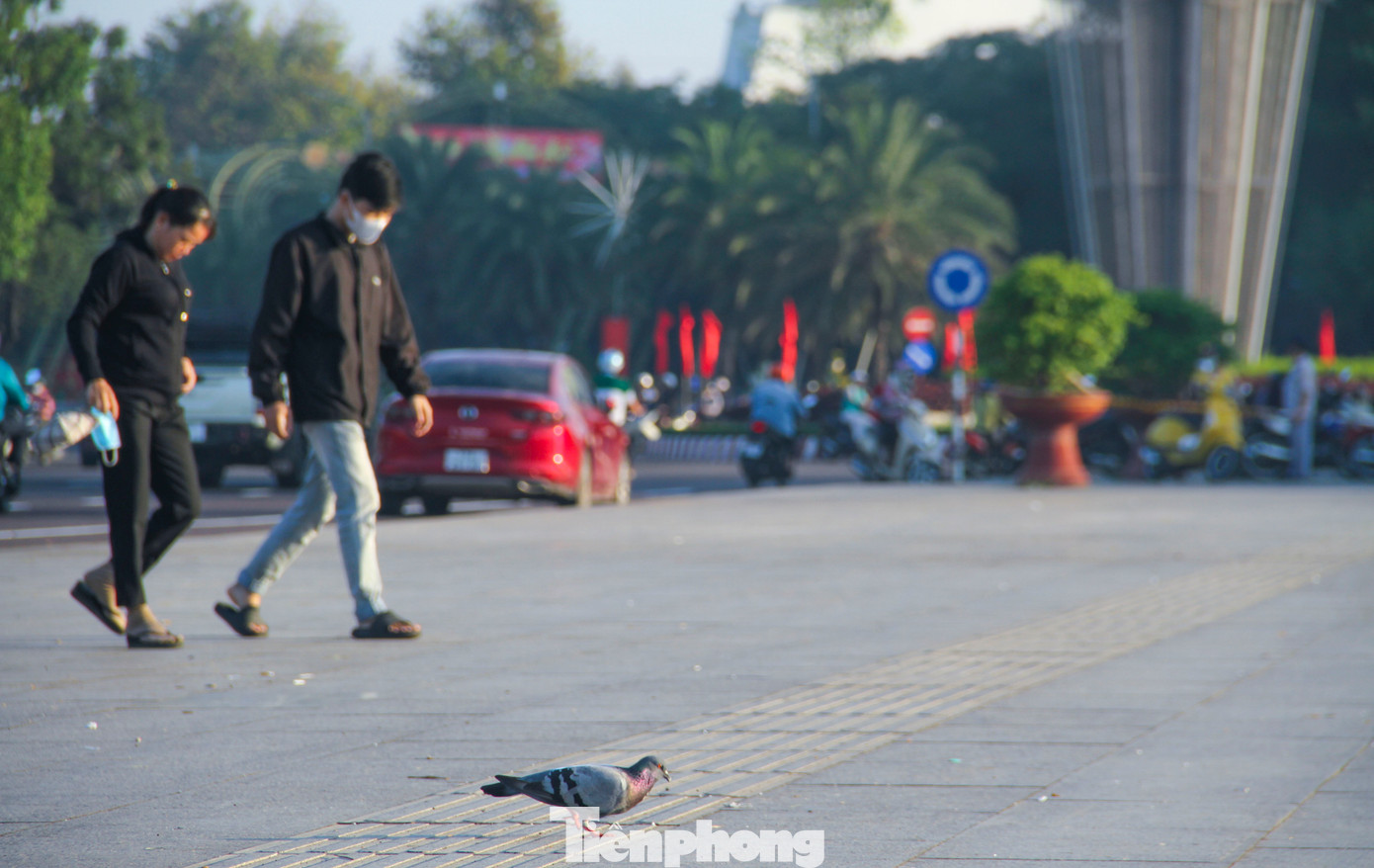 TP. Quy Nhơn lấy lại “đất vàng” để xây công viên phục vụ cộng đồng, người dân. Quy Nhơn vừa được vinh danh Thành phố du lịch sạch ASEAN 2024. Ảnh: Trương Định
