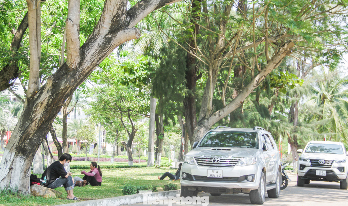 Người dân tìm đến những gốc cây có bóng mát để tránh nắng, nghỉ ngơi. Ảnh: Trương Định