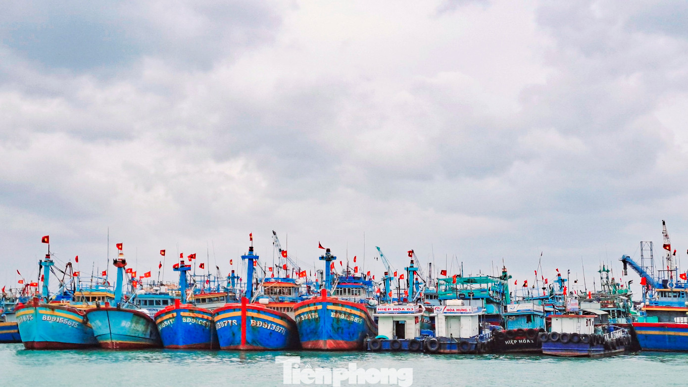 Bình Định sẽ di dời toàn bộ tàu neo đậu tại cảng cá Quy Nhơn về đầm Đề Gi. Ảnh: Trương Định