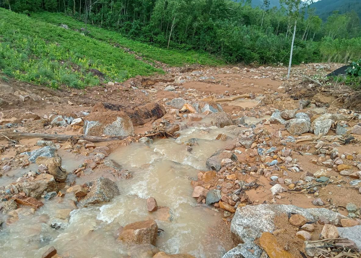 Sạt lở núi ở Bình Định làm hư hại 8 ha rừng, ruộng lúa ảnh 3