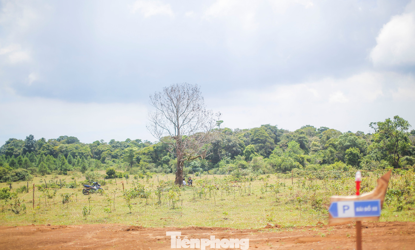 Vẻ đẹp hoang sơ tại cao nguyên La Vuông. Ảnh: Trương Định. Vẻ đẹp hoang sơ tại cao nguyên La Vuông. Ảnh: Trương Định.