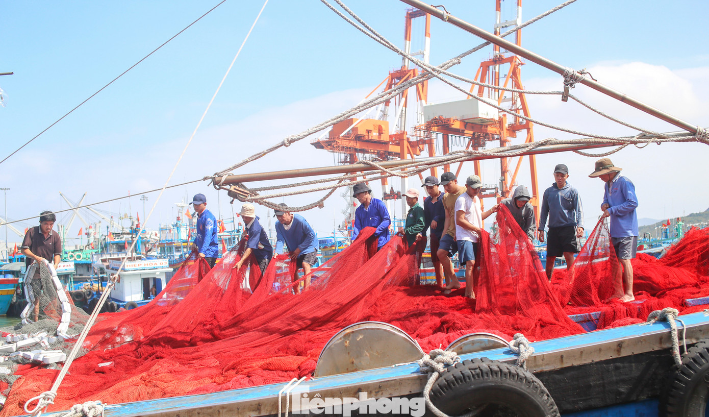 Ngư dân chuẩn bị vươn khơi bám biển. Ảnh: Trương Định