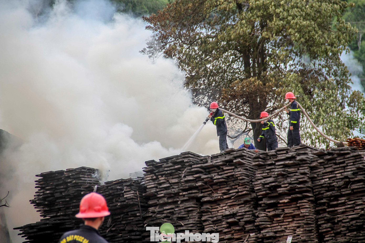 Được biết công ty này chuyên sản xuất đồ gỗ. Ảnh: Trương Định