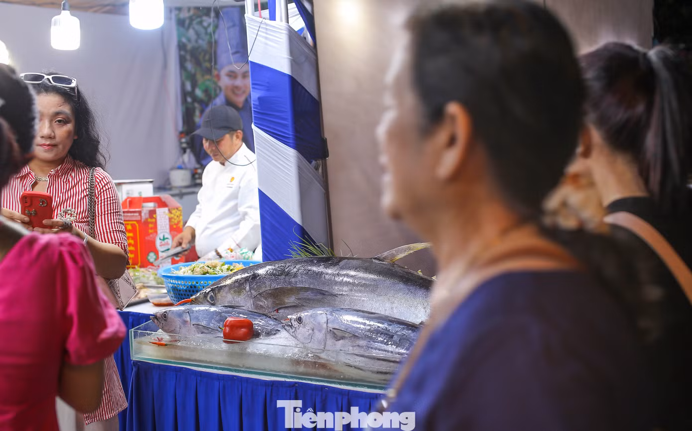 Cá ngừ đại dương Bình Định.