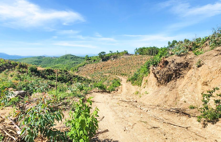 Khu vực bị lấn chiếm. Khu vực bị lấn chiếm.