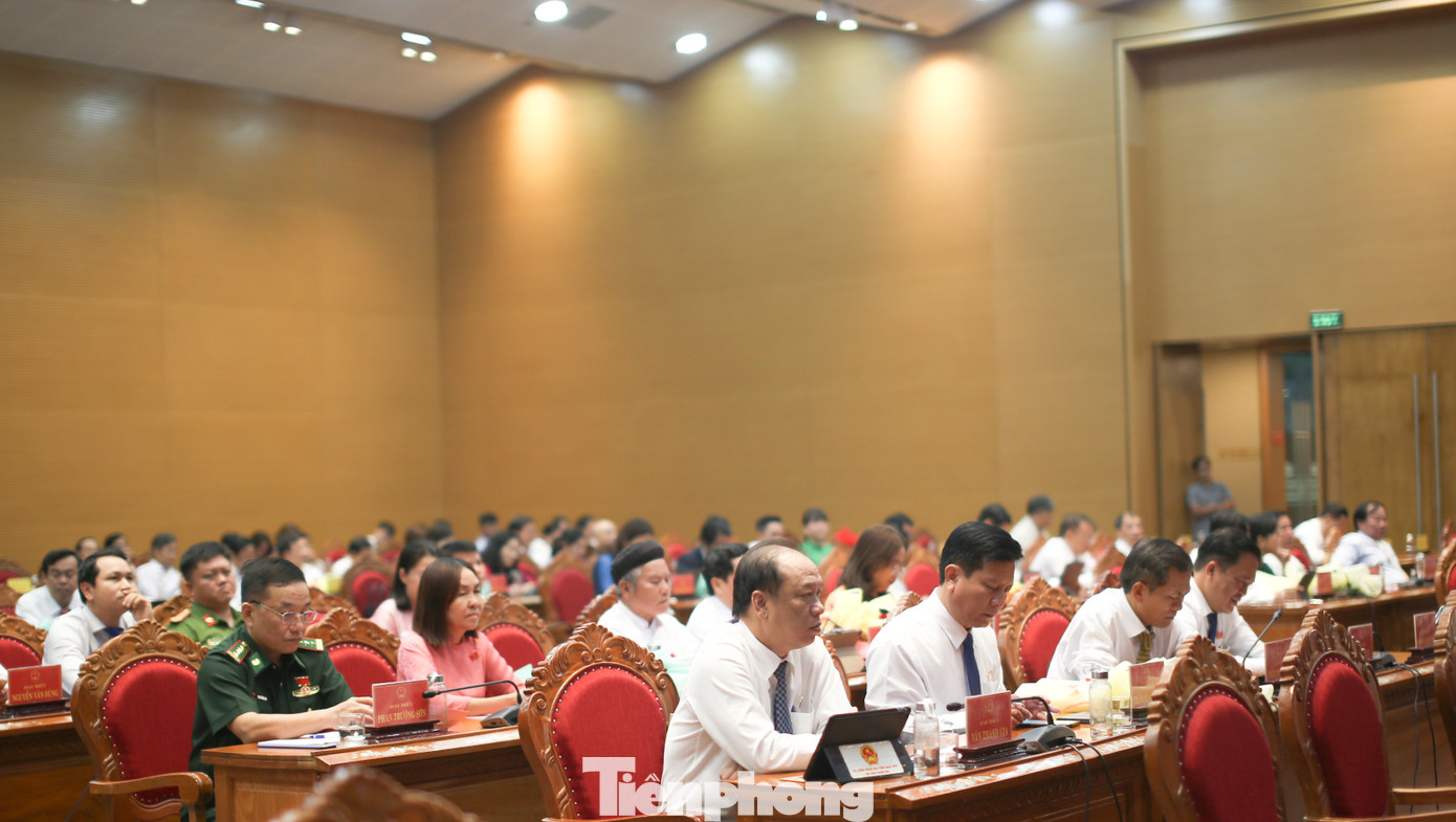 Các đại biểu HĐND tỉnh Bình Định tham gia kỳ họp. Ảnh: Trương Định