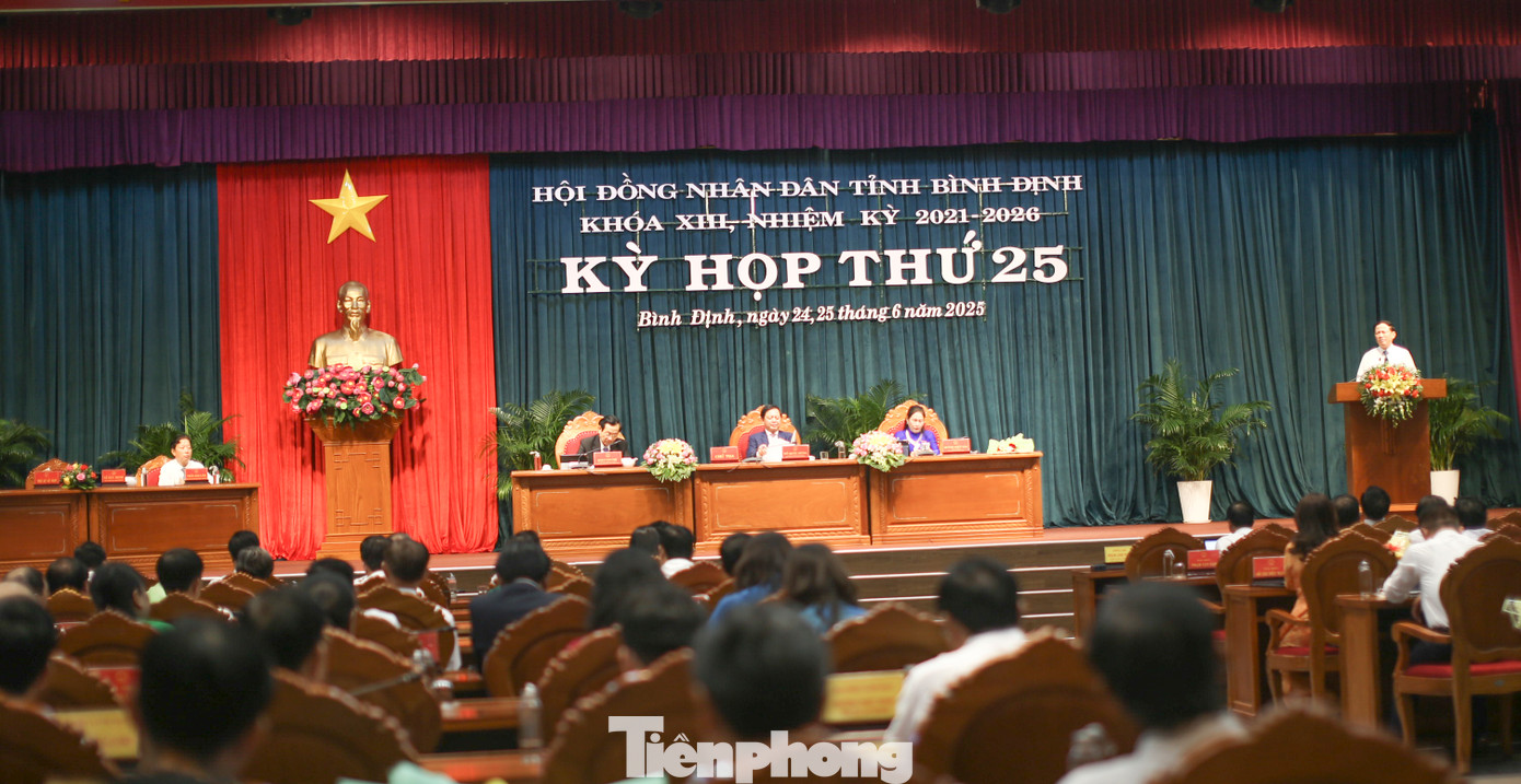 Kỳ họp thứ 25, HĐND tỉnh Bình Định khóa XIII. Ảnh: Trương Định