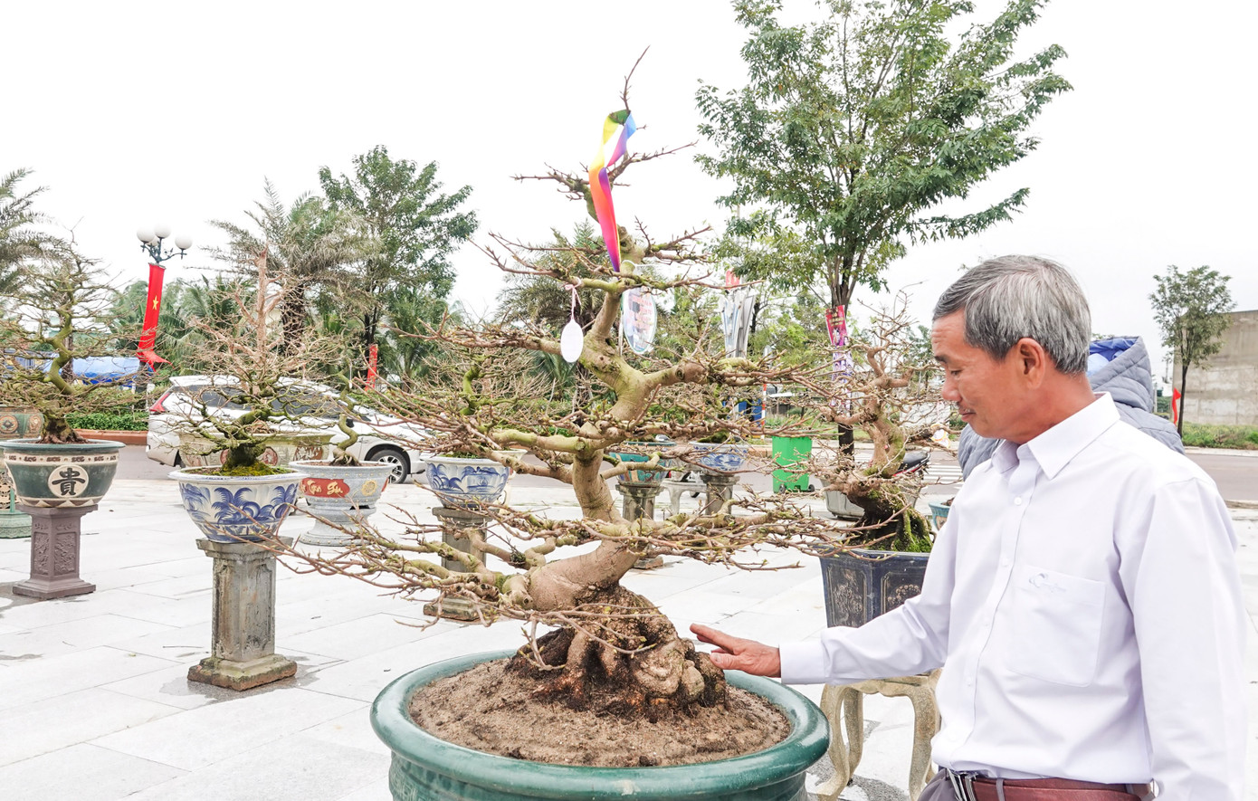 Lễ hội diễn ra từ ngày 9 – 11/1, trong khuôn khổ lễ hội, triển lãm trưng bày 190 cây mai thế đẹp tượng trưng 190 năm danh xưng An Nhơn.