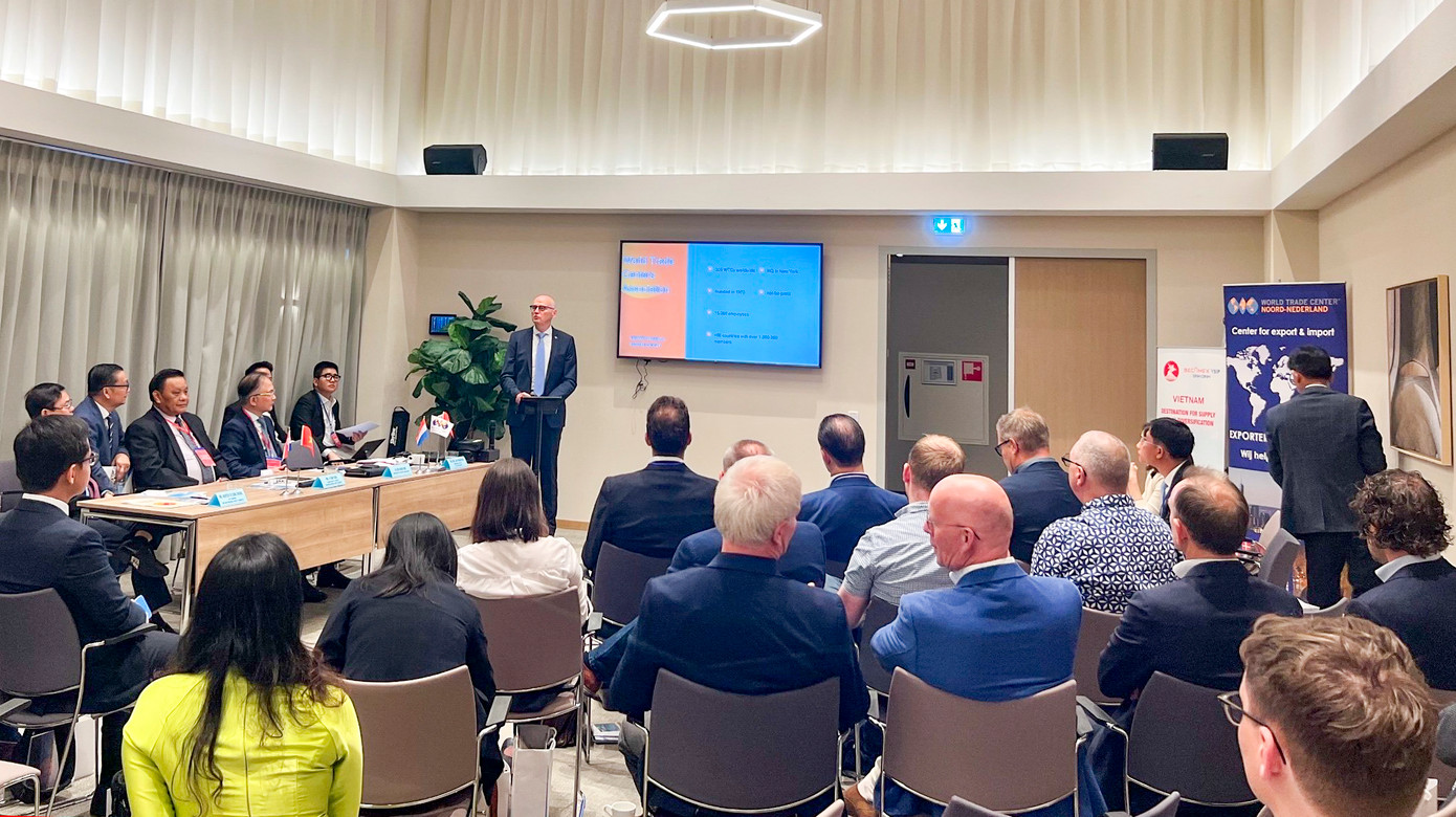 Lãnh đạo tỉnh Bình Định sang Hà Lan xúc tiến đầu tư ảnh 1