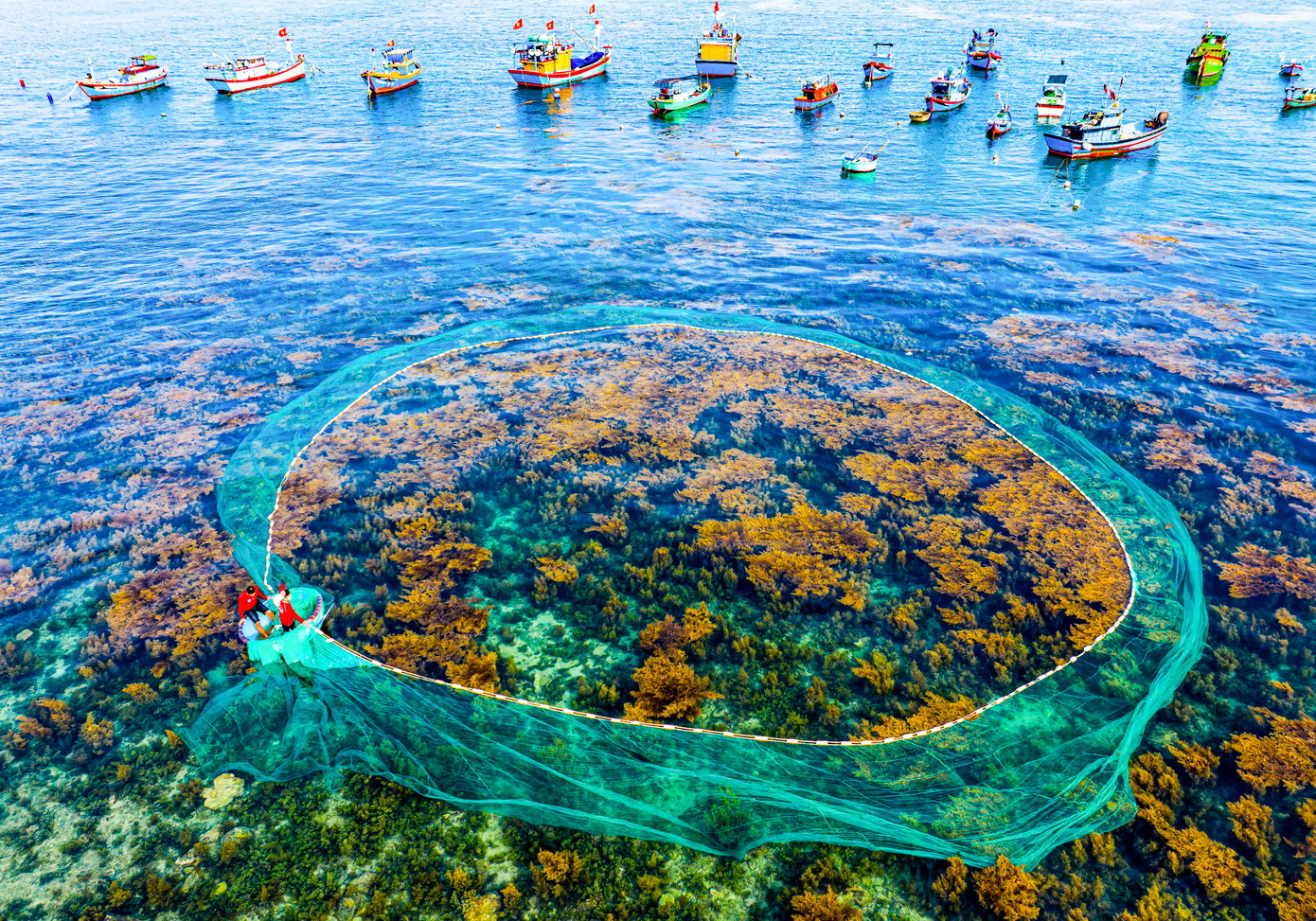 Thời điểm rong mơ xuất hiện cũng là dịp thu hút du khách đến lặn ngắm, chiêm ngưỡng và chụp ảnh.