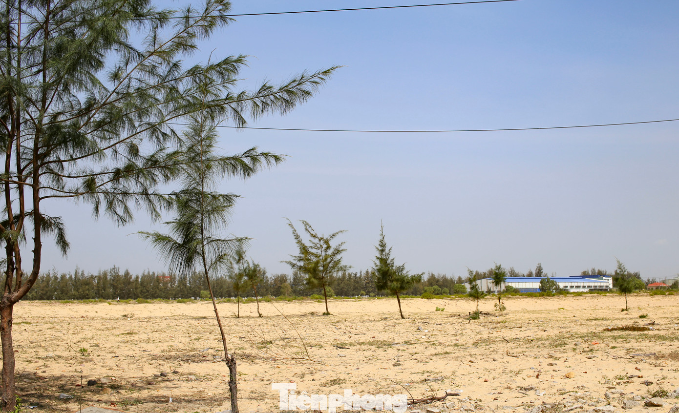 Theo quy hoạch tỉnh thời kỳ 2021 - 2030, tầm nhìn đến 2050 được Thủ tướng Chính phủ phê duyệt cũng thể hiện rõ, Bình Định sẽ phát triển, mở rộng TP Quy Nhơn về phía đông bắc, lấy đầm Thị Nại là trung tâm; xây dựng Trung tâm hành chính mới của tỉnh tại Khu Kinh tế Nhơn Hội trên cơ sở chuyển đổi đất công nghiệp sang đất đô thị, dịch vụ. Ảnh: Trương Định Theo quy hoạch tỉnh thời kỳ 2021 - 2030, tầm nhìn đến 2050 được Thủ tướng Chính phủ phê duyệt cũng thể hiện rõ, Bình Định sẽ phát triển, mở rộng TP Quy Nhơn về phía đông bắc, lấy đầm Thị Nại là trung tâm; xây dựng Trung tâm hành chính mới của tỉnh tại Khu Kinh tế Nhơn Hội trên cơ sở chuyển đổi đất công nghiệp sang đất đô thị, dịch vụ. Ảnh: Trương Định