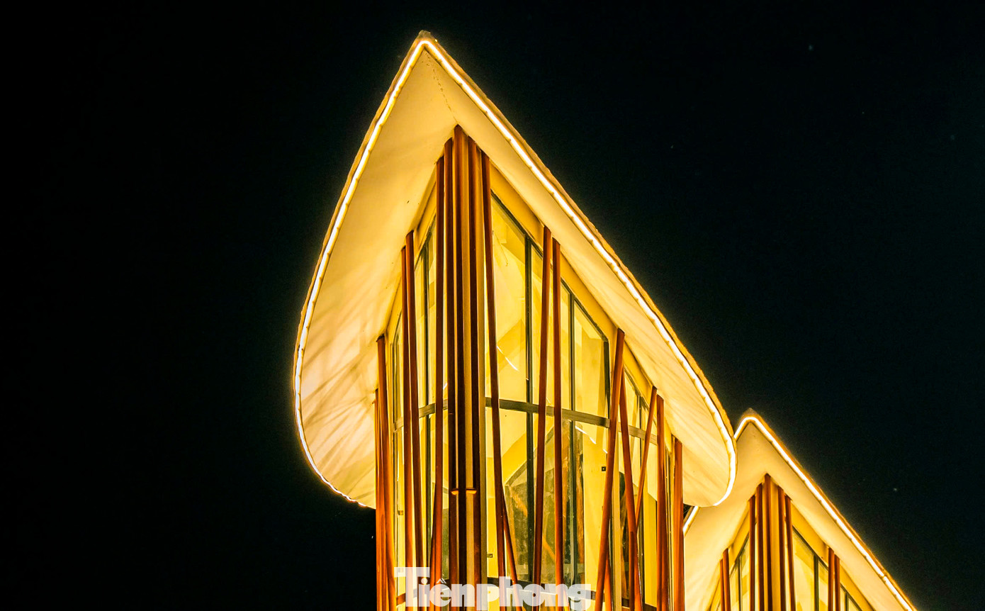 Theo đơn vị chủ đầu tư, những chiếc lá thể hiện sự thân thiện với môi trường, gần gũi với con người, biểu hiện cho ngành nông nghiệp trong khu vực phát triển trù phú trong tương lai đúng như sứ mệnh của đập dâng; những chiếc lá gợi nhớ tới bến Trường Trầu - là một di tích lịch sử thời Tây Sơn nằm phía thượng lưu đập... Ảnh: Dũng Nhân.