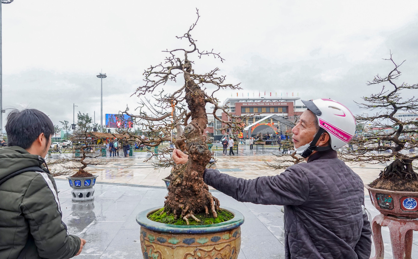 Lễ hội cũng là hoạt động nhằm tôn vinh “thủ phủ mai vàng” An Nhơn; tôn vinh những giá trị, quảng bá nét đẹp văn hóa, các sản phẩm làng nghề và con người vùng đất An Nhơn đến với công chúng.