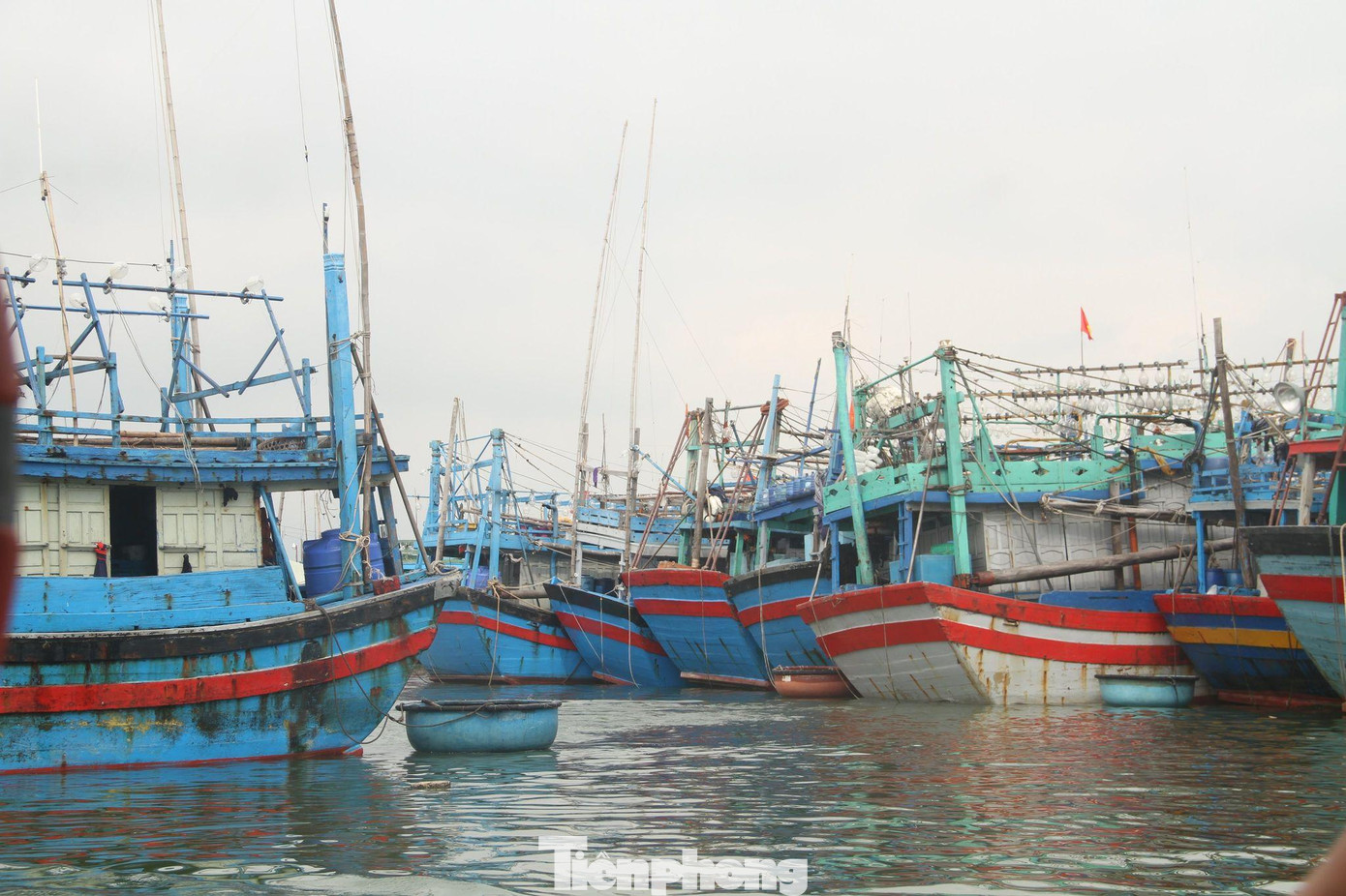 Bình Định có đội tàu đánh bắt xa bờ hùng hậu. Ảnh: Trương Định