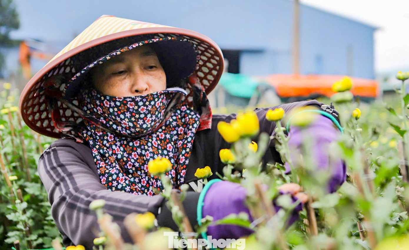 Bà Phạm Thị Lành (51 tuổi, phường Bình Định), có vườn cúc bên cạnh cho hay, mọi hôm lấy nước trong phuy để tưới thì không có bọt, tuy nhiên hôm đó khi thấy nước để tưới thì phát hiện bọt quá nhiều. Lo lắng có việc chẳng lành nên bà đã đổ hết nước đi không tưới, chỉ vừa tưới cho 1 chậu, và chậu hoa cũng đã héo và chết sau đó.