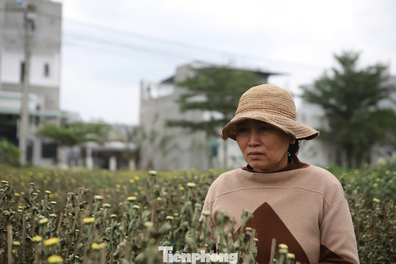 “Số hoa trong vườn đã được thương lái đặt cọc mua, chỉ còn 10 ngày nữa là họ đến chở, nhưng giờ thì mất sạch rồi. Chỉ mong cơ quan chức năng sớm làm sáng tỏ vụ việc", bà Lý nói.