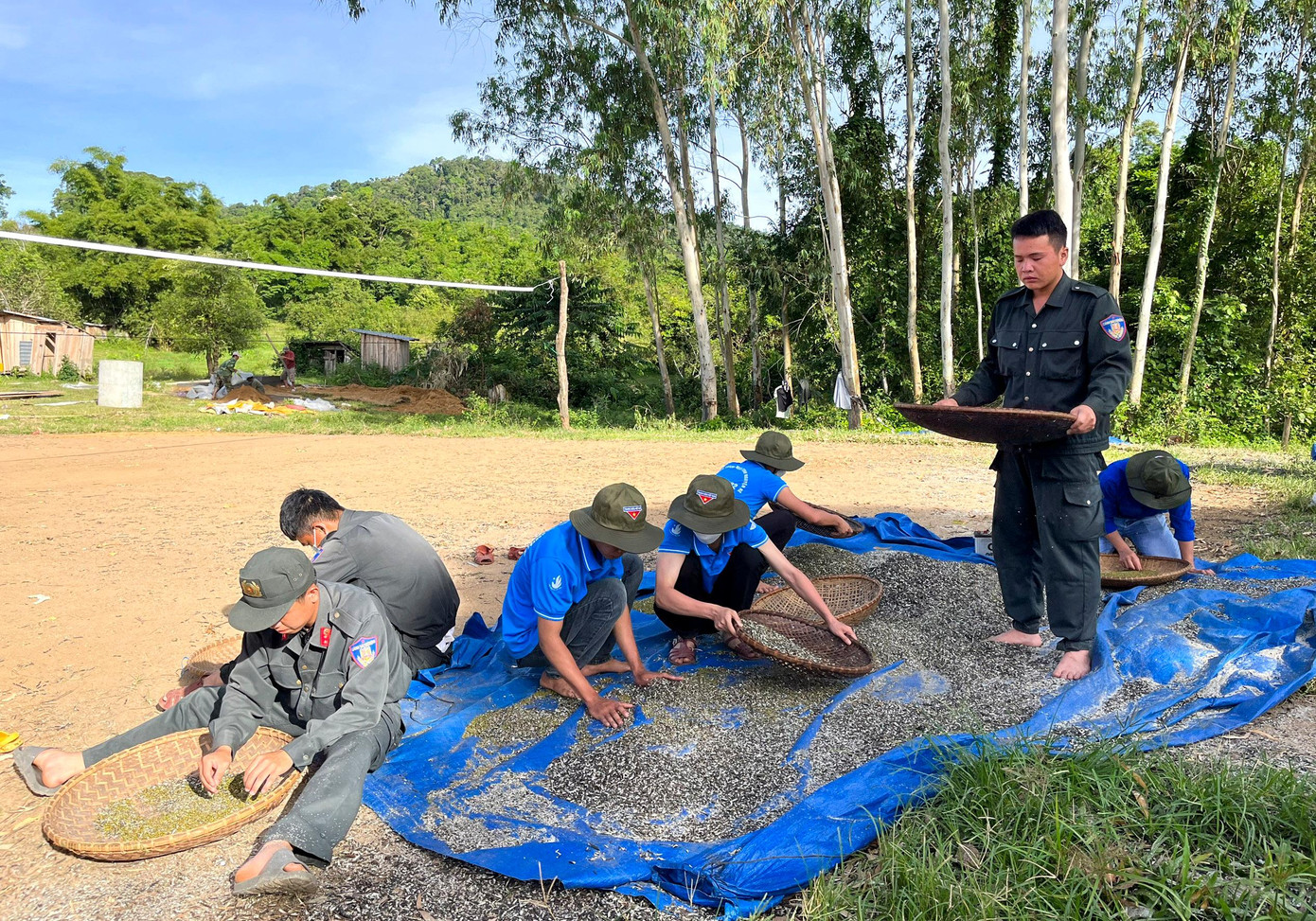 Giúp người dân thu hoạch đậu xanh ở Làng O2 (xã Vĩnh Kim). Giúp người dân thu hoạch đậu xanh ở Làng O2 (xã Vĩnh Kim).