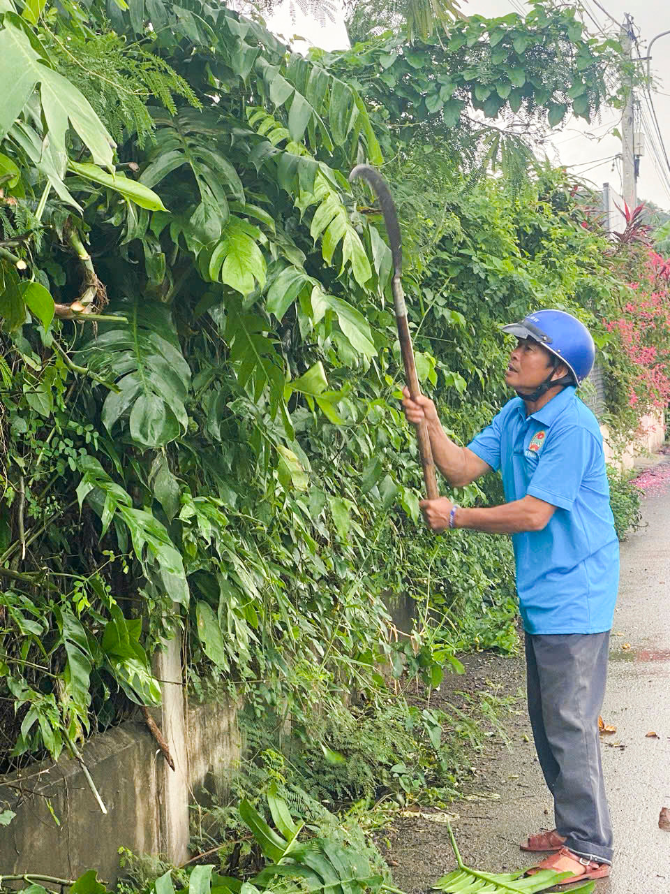 Phát quang đường làng ngõ xóm.