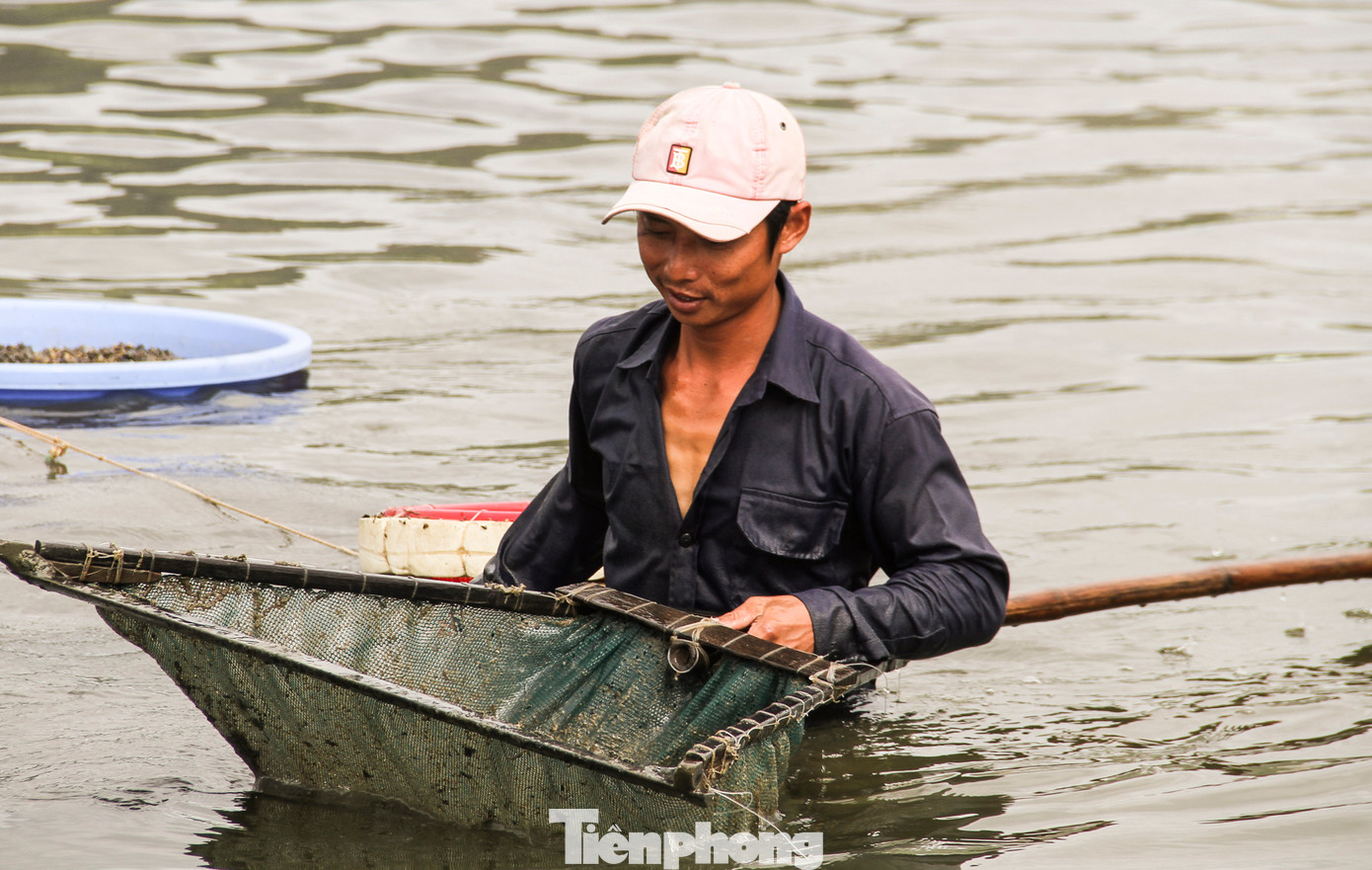 Theo người dân, công việc có phần vất vả, song vẫn tranh thủ lúc trời còn mát đi cào để kiếm thêm thu nhập. Thường ngày những người lao động phải dầm mình dưới nước từ sớm đến khoảng 8 - 9 giờ sáng để cào hến. (Ảnh: Trương Định)