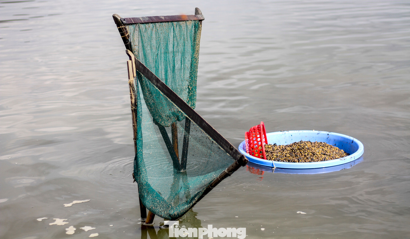 Người dân chủ yếu cào tay, dụng cụ cũng rất đơn giản, gồm bộ phận cào nối liền với cái cán bằng tre. Theo những người làm nghề cào hến, đây là công việc đòi hỏi phải có sức khỏe dẻo dai. (Ảnh: Trương Định)