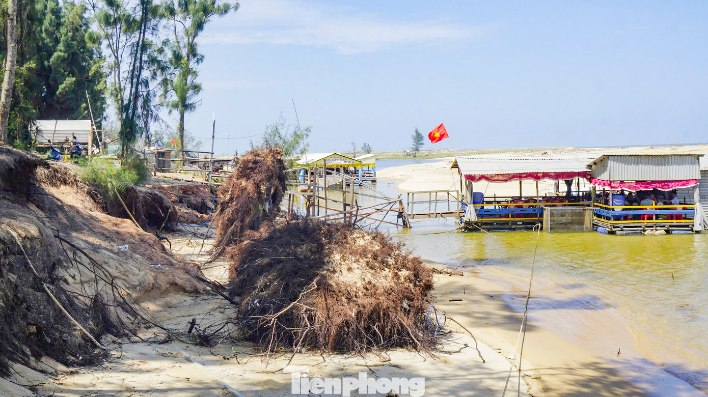 Khu vực bị xâm thực mạnh, nhiều gốc dương bị quật đổ, xói trơ gốc.