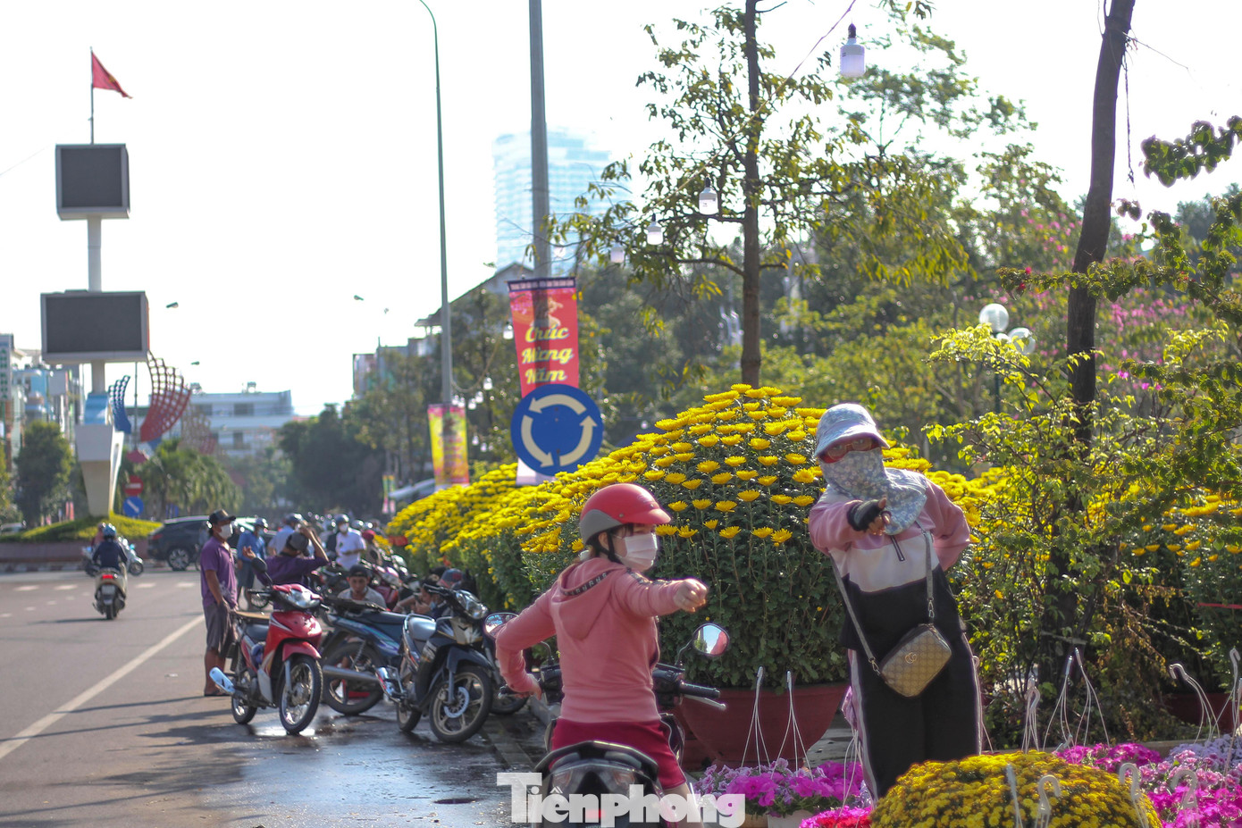 Mai vàng khoe sắc, hoa Tết xuống phố biển Quy Nhơn ảnh 7