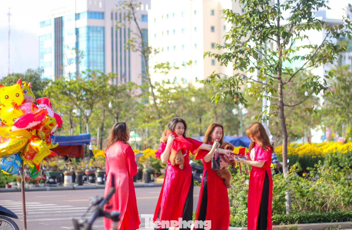 Mai vàng khoe sắc, hoa Tết xuống phố biển Quy Nhơn ảnh 8