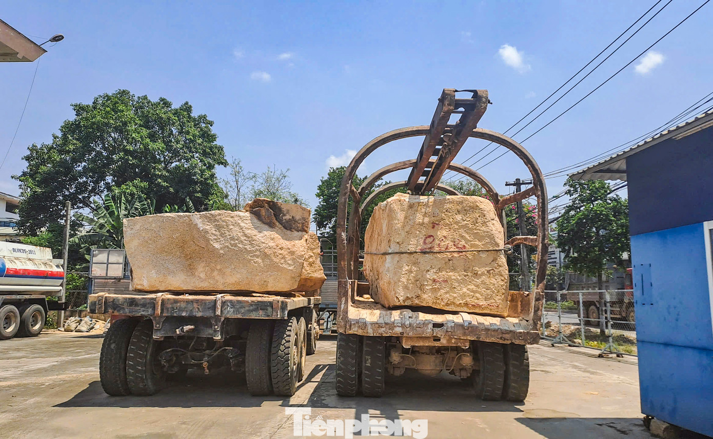 Tang vật đang được thu giữ. Ảnh: Trương Định