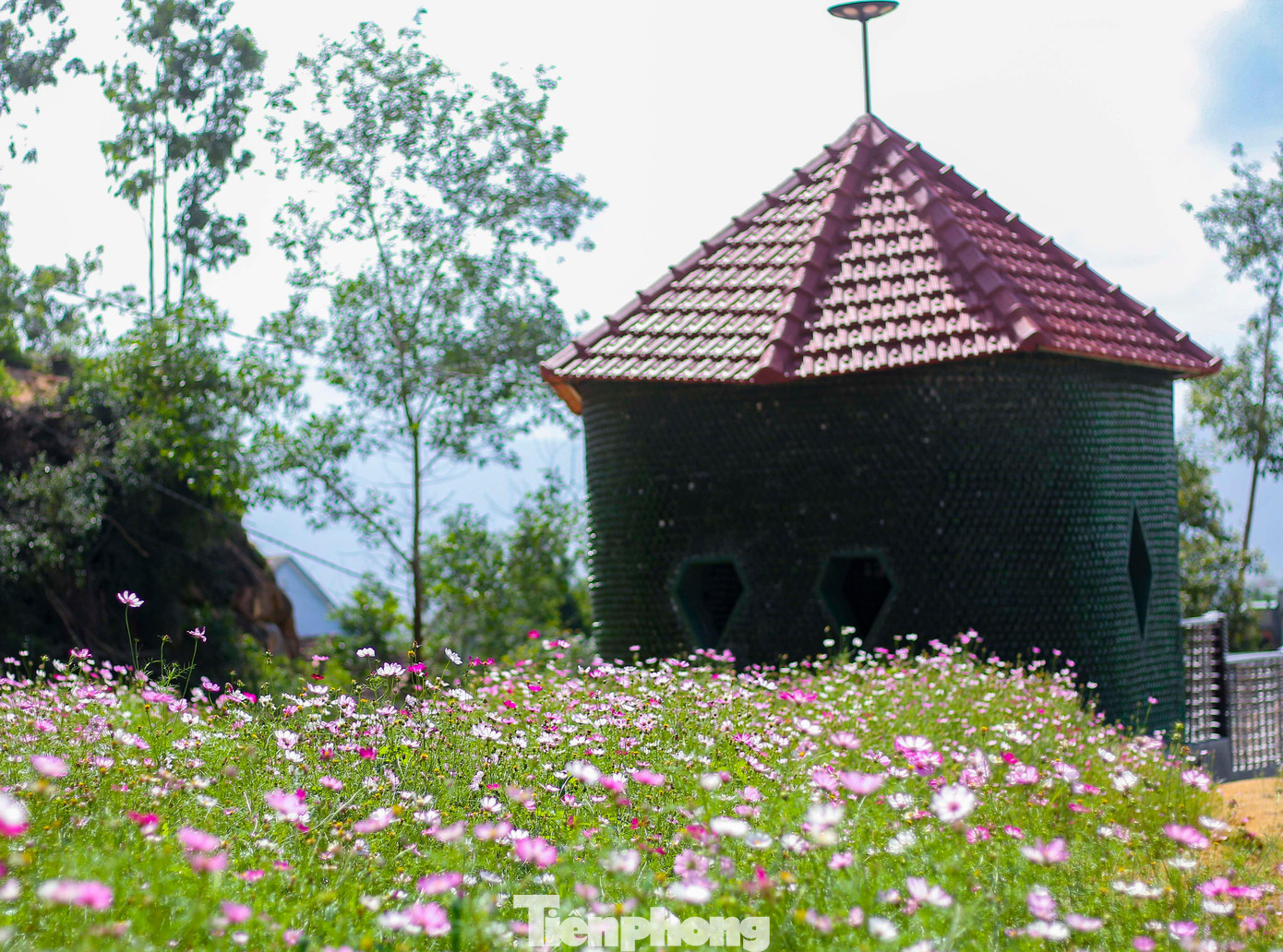 Tiểu cảnh ngôi nhà được chủ vườn tạo nên từ 19.000 vỏ chai bia.