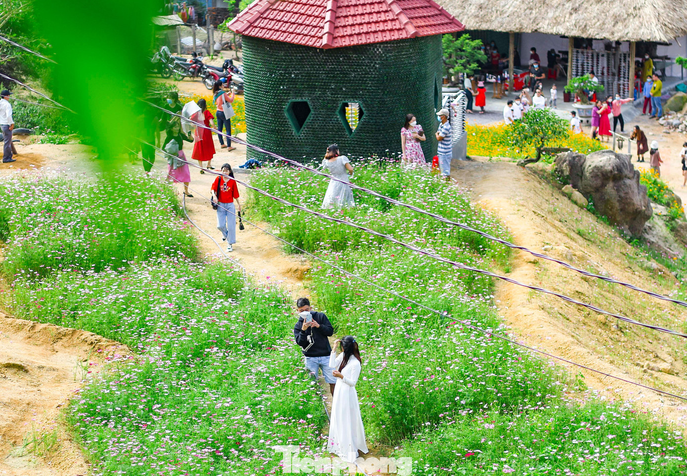 Du khách đến tham quan, chụp ảnh tại nhà vườn dịp năm mới.