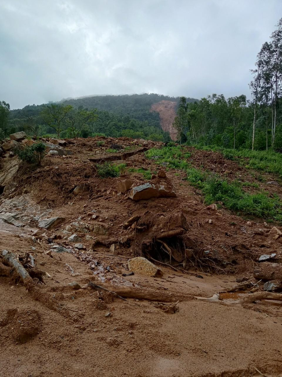 Sạt lở núi ở Bình Định làm hư hại 8 ha rừng, ruộng lúa ảnh 2