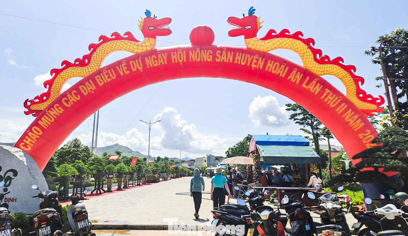 Theo lãnh đạo UBND huyện Hoài Ân, ngày hội đã nhận được sự quan tâm, hỗ trợ, giúp đỡ của các sở ngành của tỉnh cũng như được sự đồng hành và hưởng ứng tích cực của các địa phương, doanh nghiệp, bà con nhân dân. Ảnh: Trương Định