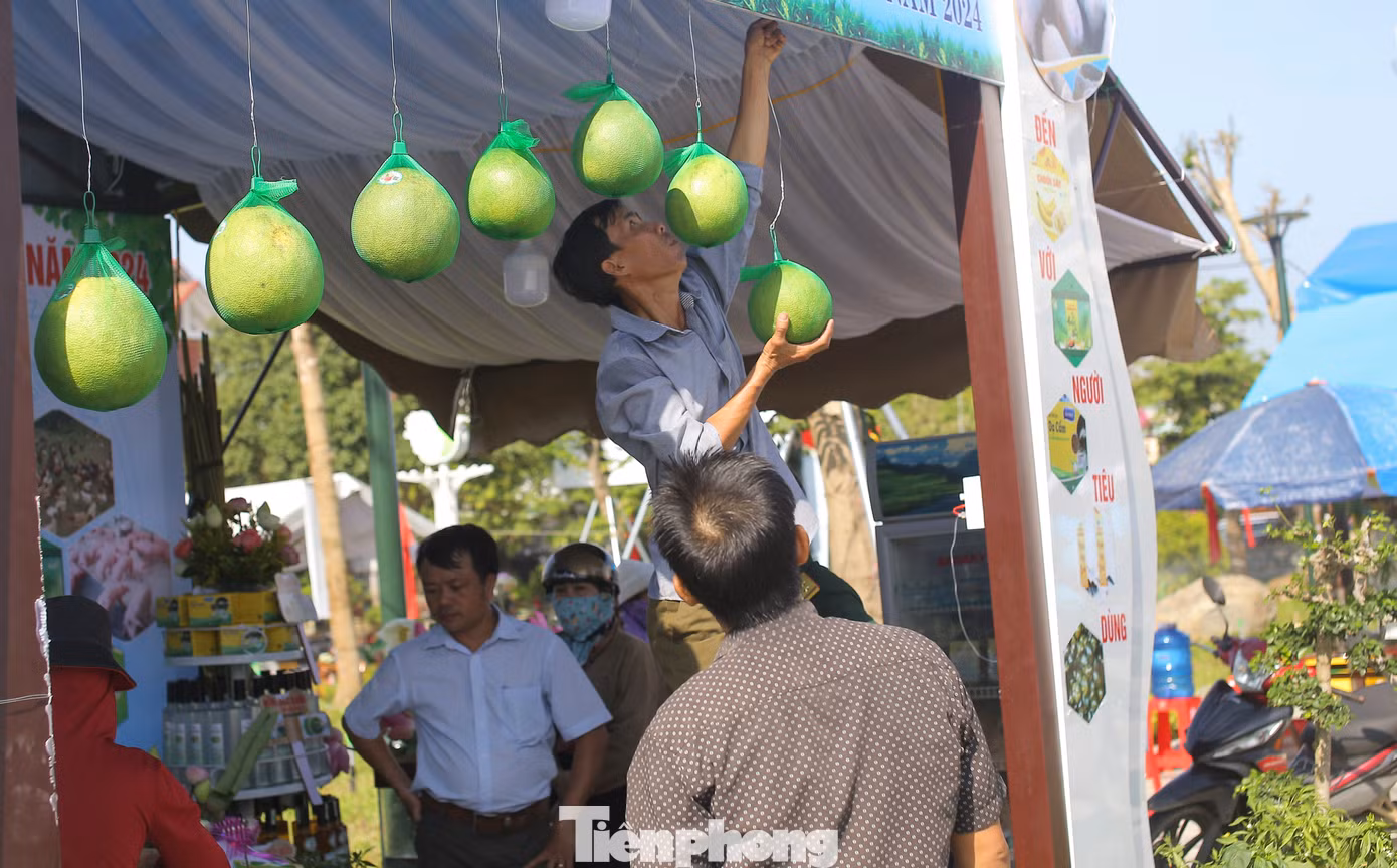 Hoài Ân là một huyện trung du, thuần nông, được thiên nhiên ưu đãi với điều kiện khí hậu, thổ nhưỡng thuận lợi. Được bao bọc bởi hai dòng sông Kim Sơn và An Lão cùng 23 công trình hồ chứa nước, là điều kiện và nền tảng vững chắc để phát triển nông nghiệp toàn diện, nhất là các loại cây ăn quả và chăn nuôi gia súc, gia cầm. Ảnh: Trương Định
