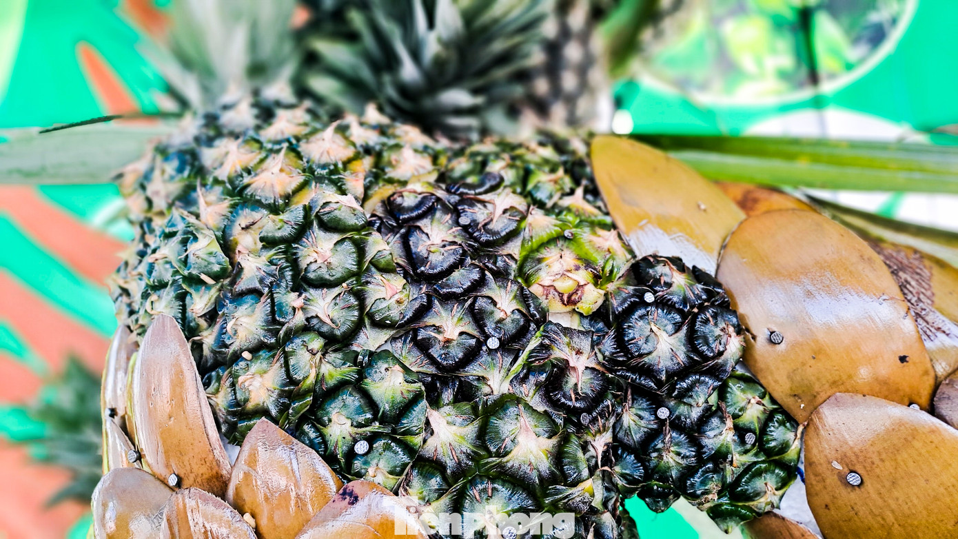 Chiều dài con rồng dài khoảng 9m, được ghép từ hơn 100 quả dứa. Ảnh: Trương Định