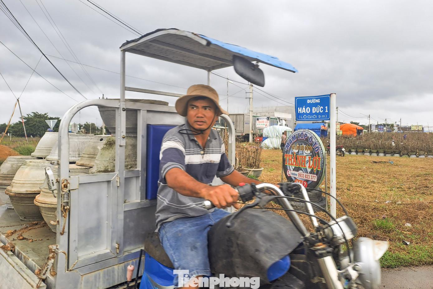 Thị xã An Nhơn (Bình Định) được mệnh danh là thủ phủ mai vàng lớn nhất miền Trung. Nơi đây có hàng ngàn hộ dân trồng mai, với diện tích khoảng 145ha. Ảnh: Trương Định